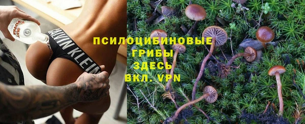 бошки Балахна