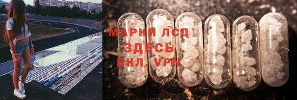 PSILOCYBIN Баксан