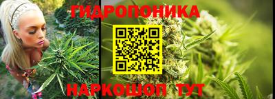 молекула духа Обнинск